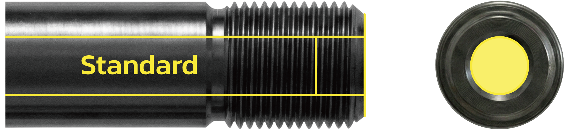 Standard Socket