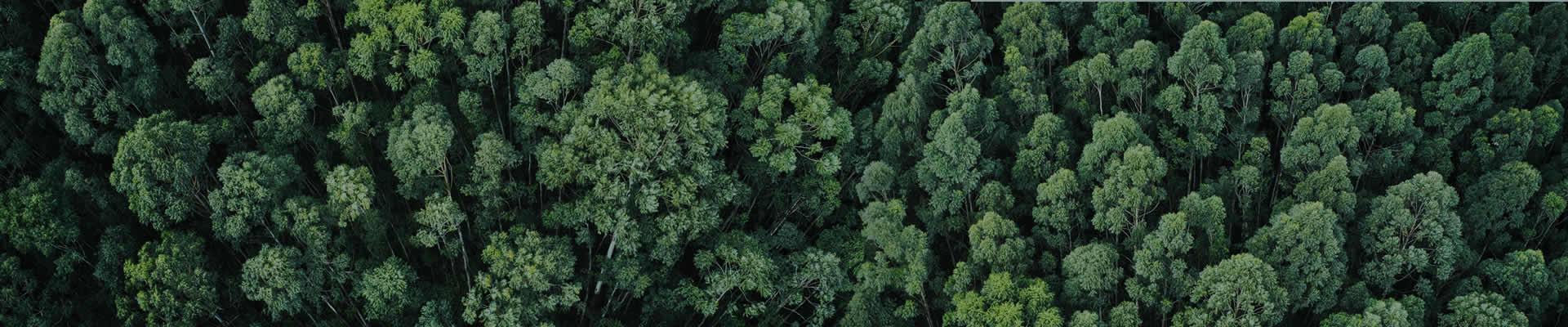 banner-esg
